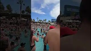 Martin Garrix EDC Las Vegas 2024 Private Pool Set MGM #MartinGarrix #EDCLasVegas #EDC #PoolParty