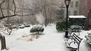 Tudor City Greens: NYC's Hidden Winter Wonderland Revealed During a Snowstorm
