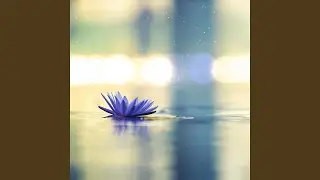 Faint Horizon