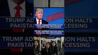 Trump rejected Pakistani visas, why is India missing from this decision?&rdquo; pakistani public reaction