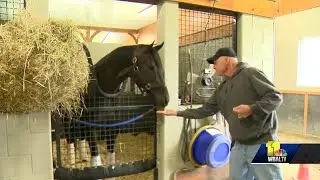Trainers react to Preakness post positions