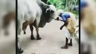 Humanity trending videos | Motivational | Inspirational videos Tamil | Love