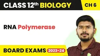 Class 12 Biology Chapter 6 | RNA Polymerase - Molecular Basis of Inheritance (2022-23)