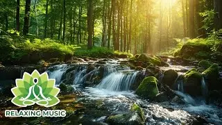 Deep Relaxation Music for Stress Relief, Sleep & Focus (Instrumental)