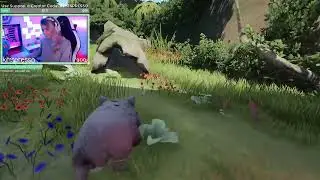 Chonker lover confirmed