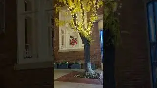 Street scene old town Frederick Maryland pedestrians
