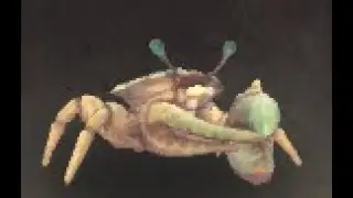 Kalimdor Safari: Shore Crab Battle Pet, Azshara, WoW Retail