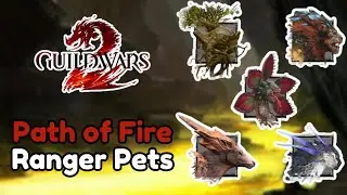 Guild Wars 2 - Path of Fire Ranger Pet Guide
