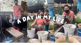Home vlog/ cleaning & feeding pigs🐖/ plants 🌱/ Yachuli📍/ Arunachal Pradesh / villagelife//
