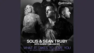 What It Takes To Love You (Artisan Extended Remix)