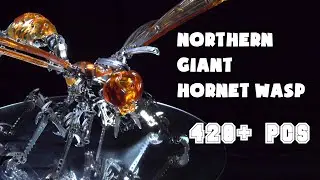 Northern Giant Hornet Wasp – 3D Metal Puzzle for Adults