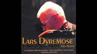 Lars Dyremose 06: Bar 