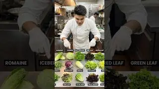 Kitchen Knowledge Lettuce Varieties ✅👨🏻&zwj;🍳 #knowledge #guide #chef #hotelindustry #lettuce #name