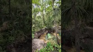 Tropical Vibe at 2nd Spring with Seafoam Green Water at Gemini Springs Park! DeBary, Florida