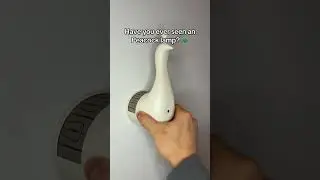 Have you ever seen a peacock lamp? fyntom.com  #peacock #lamp #lights