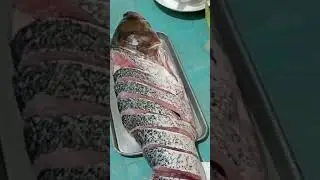 FISH #maya maya fish #short