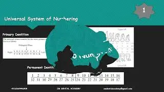 Tooth Numbering Systems