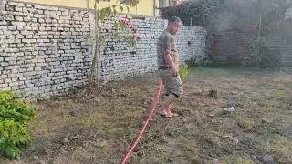 लालुपाते फुलाइयो