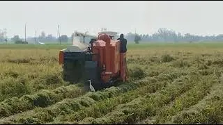 KSA | GreenGold 220 Track combine Harvester | Since 1968 | Malerkotla