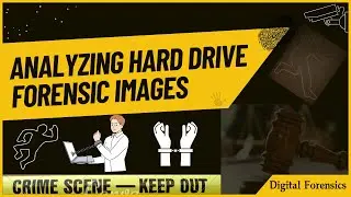 Analyzing Hard Drive Forensic Images in Forensics Investigation