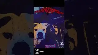 #boombap #hiphop #lofihiphop #dogsoffacebook #americanbully #doglovers #dogshorts #americanbulldog