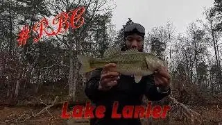 Fishing Laydowns On Lake Lanier