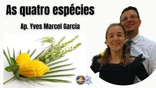 🔴 As quatro esp&eacute;cies | Ap. Yves Marcel Garcia