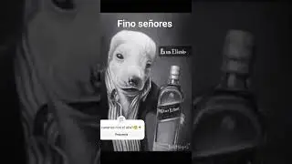 21 de febrero de 2024