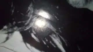 xSISTERWIFEx -  Luciferian Inversions