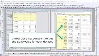 How to compute EC50 C50 in Dose Response fitting