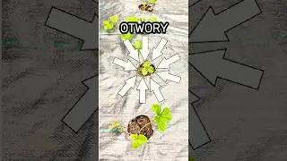 Jak Wykonać Otwory w Agrotkaninie &ndash; Dwie Proste Metody