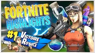 HELLCAT 👹 -  FORTNITE HIGHLIGHTS BY YANOUX #1 [Desmeon]