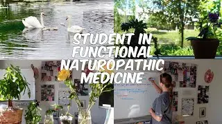 STUDENT OF FUNCTIONAL NATUROPATHIC MEDICINE: Day in the Life