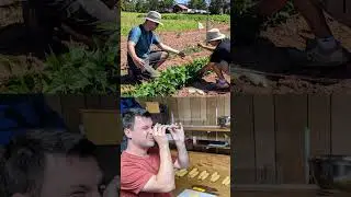 Canada's Top Quality Seeds #garden #vegetables #flowers
