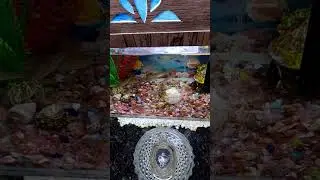 Beautiful Art is live ❤️❤️ 🐠 Fish 