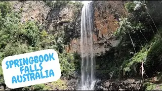 Springbook Waterfall Hike - Australia