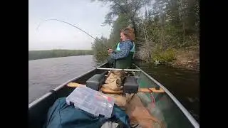 BWCA trip into Brook trout lakes