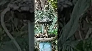 @Lindo, Sanha&ccedil;os n 🧼