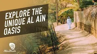 Explore Al Ain Oasis's impressive heritage | Experience Abu Dhabi