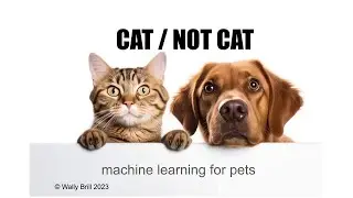 CAT / NOT CAT, Machine Learning For Pets