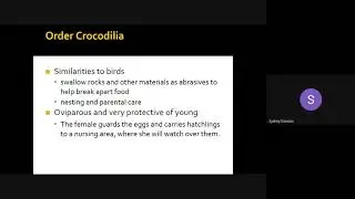 Unit 10 Reptiles Classification & Ecology Google Slides