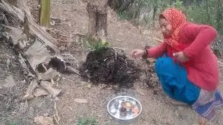 बसंत पंचमी की आप सभी को हार्दिक शुभकामनायें🙏