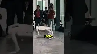 Robot dog experiment. #technology #innovation #electronics