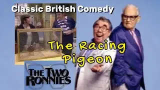 The Two Ronnies | Racing Pigeon | Classic British  Comedy 