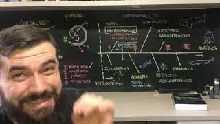 Todo VERTEBRADO é um CORDADO, mas NEM TODOS os CORDADOS são VERTEBRADOS