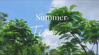 Glimpse of Summer in CHEDEMA village, Kohima