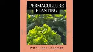 Episode 364: Permaculture Planting