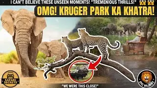Kruger National Park: अफ्रीका की आत्मा का जादू #krugernationalpark #junglesafari #wildlife