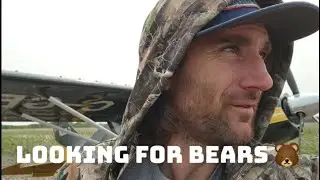 Back Country Flying - Looking for Bears and Landing Spots