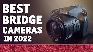 Best Bridge Cameras: Top 10 Reviews (2022)